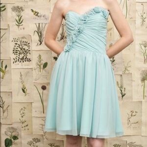 IVY & ASTER Coming Up Roses Chiffon Dress